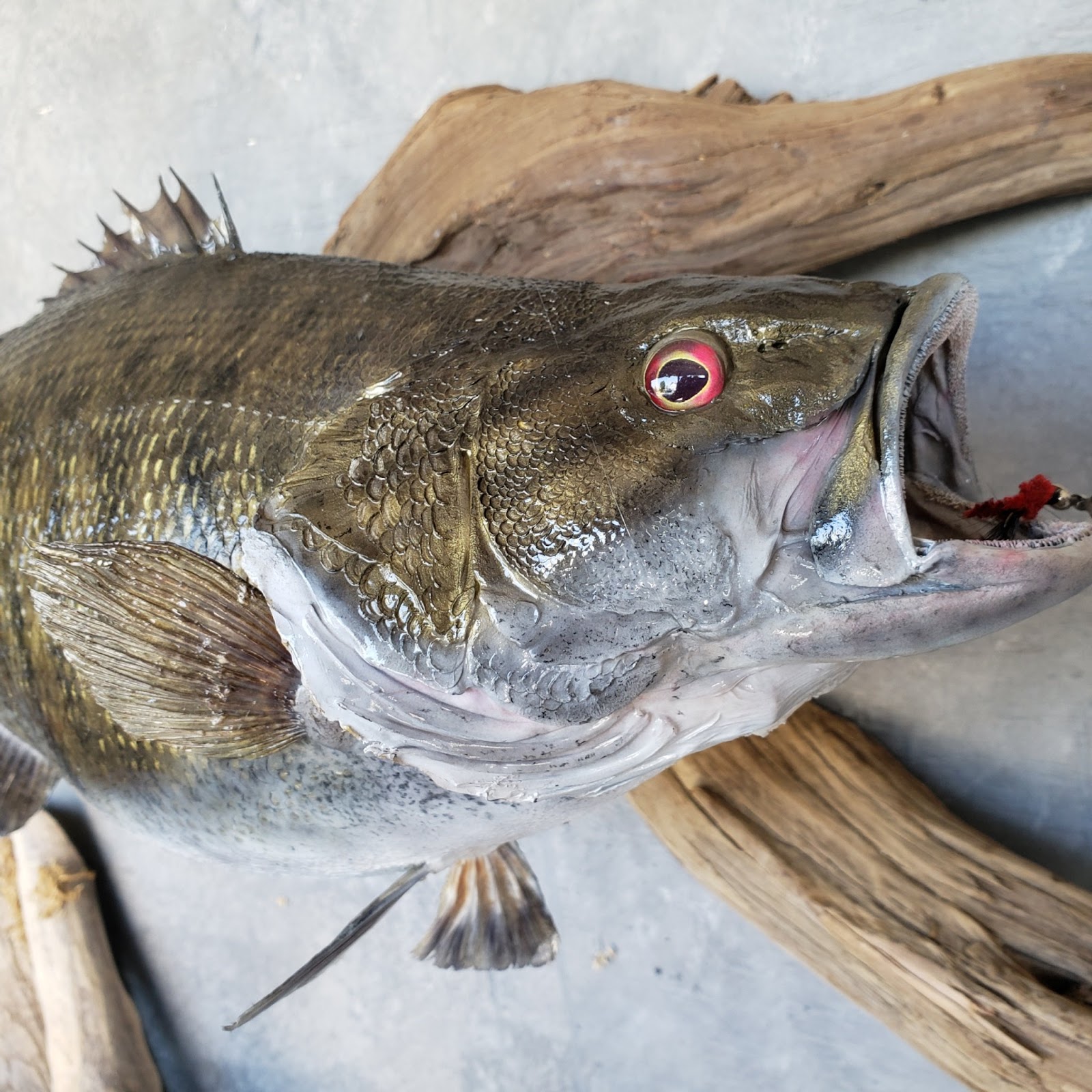 Bass mount detail showing the cast head, open mouth, gill work, and handmade eye